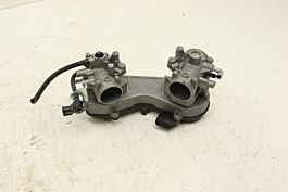 Kawasaki Teryx4 800 21 Throttle Body 16163-0790 44857