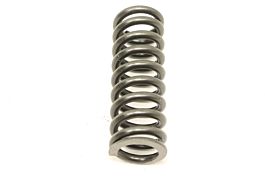 Kawasaki Teryx KRX 1000 21 Shock Spring Main Front 92145-1953-42P