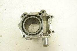 Arctic Cat 550 EPS 11 Engine Cylinder 0804-051 Core Needs Arctic Cat 550 EPS 11 Engine Cylinder 0804-051 Core Needs