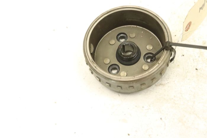 Coleman Trail Tamer 90 15 Magneto Rotor Flywheel 31110-021-0000 35232