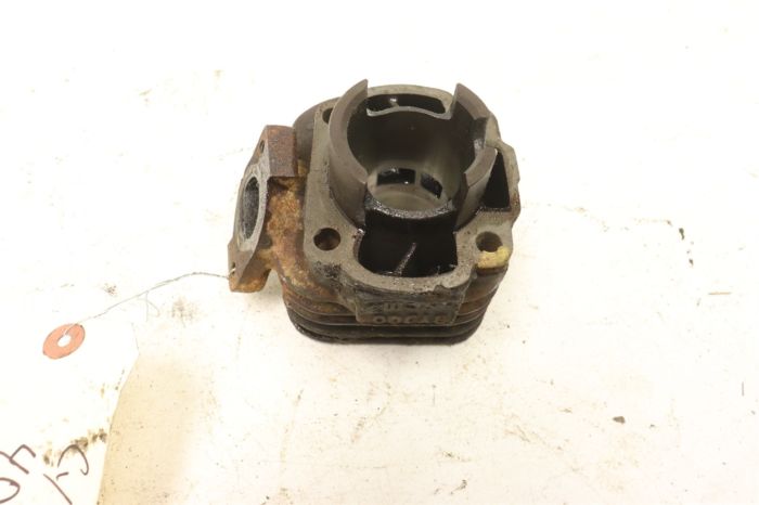 Polaris Scrambler 50 01 Engine Cylinder 0450006 35489