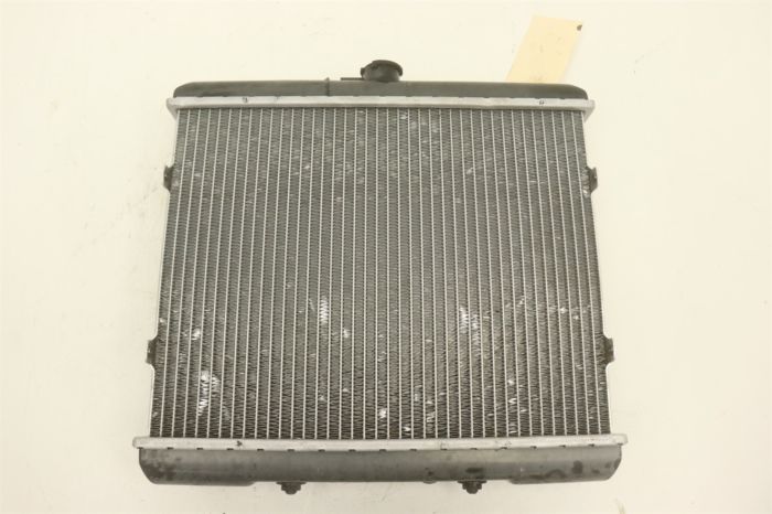Arctic Cat Prowler 1000 XTZ Intl 11 Radiator 0413-216 41946