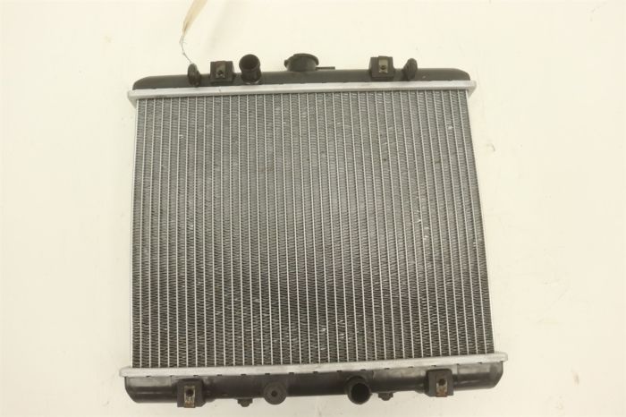 Arctic Cat Prowler 1000 XTZ Intl 11 Radiator 0413-216 41946