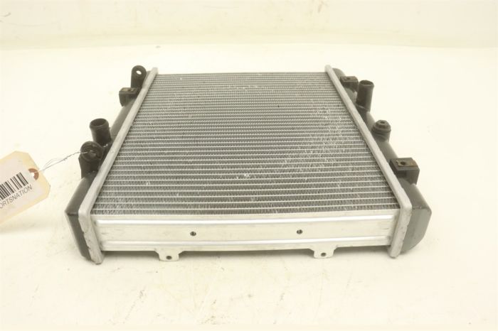 Arctic Cat Prowler 1000 XTZ Intl 11 Radiator 0413-216 41946