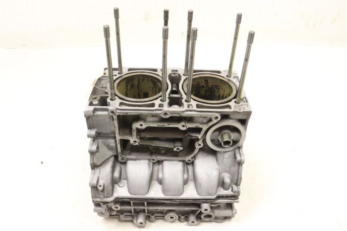 Arctic Cat Textron Stampede 900 18 Engine Crankcase 43534 - Power