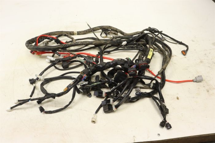 Yamaha Wolverine 850 X4 R-SPEC 23 Wiring Harness Main Chassis  43579