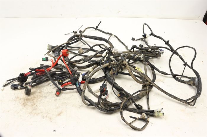 Yamaha Wolverine RMAX 4 1000 LE 21 Wiring Harness Main Chassis  43583