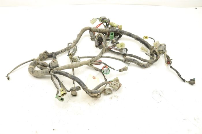 Honda Foreman 500 FPM 08 Wiring Harness Chassis 32100-HP0-E20 44445
