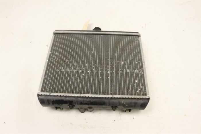 Arctic Cat Thundercat F 1000 08 Radiator 0413-178 44552 - Power