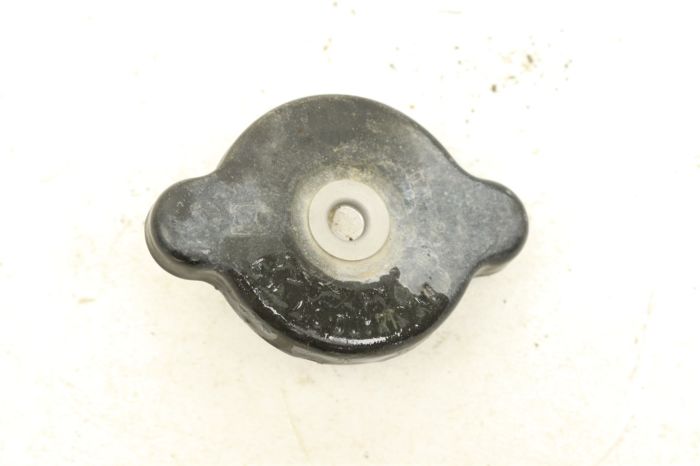 Yamaha Grizzly 550 EPS SE 09 Radiator Cap 22W-12462-00-00 45278