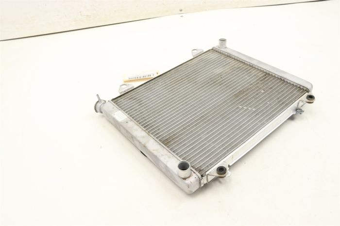 Kawasaki Teryx4 800 S 21 Radiator 39061-0568 45167 - Power Sports
