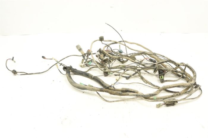 Kawasaki Teryx 750 LE 08 Wiring Harness 26031-0664 45884