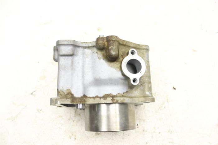 Kawasaki Prairie 400 4x4 99 Engine Cylinder 11005-1673 46887