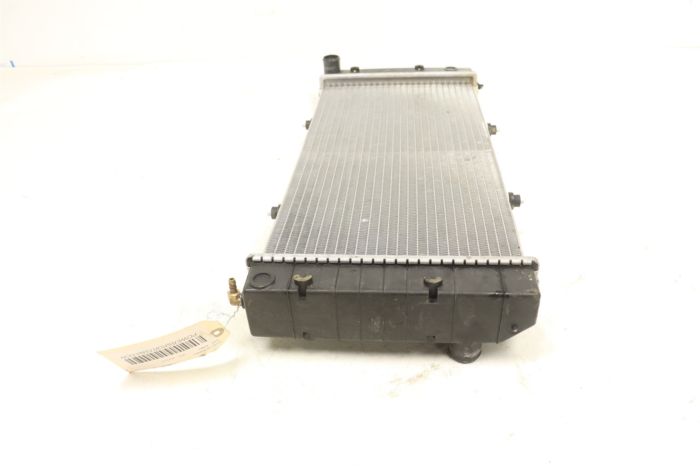 Arctic Cat Wildcat XX RG XT EPS 18 Radiator 0413-491 47883 - Power