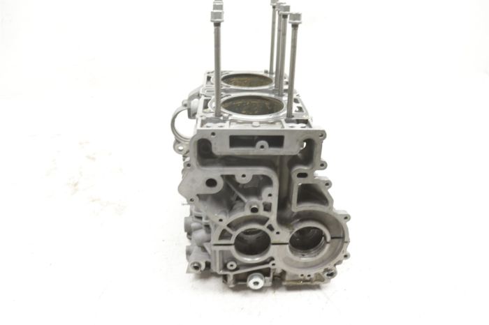 Arctic Cat Textron Stampede 900 18 Crankcase Engine Cases 48016