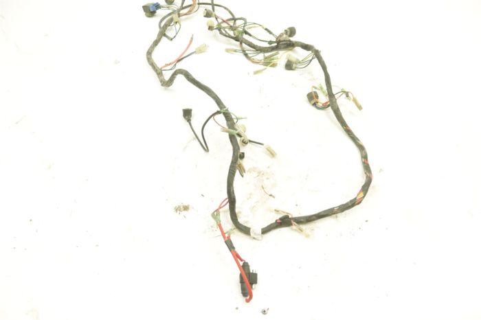 Yamaha Big Bear 350 89 Wiring Harness Chassis 3HN-82590-00-00 48372