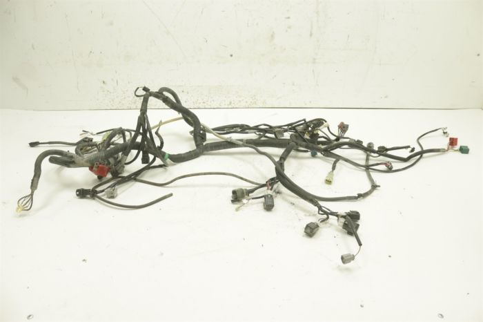 Kawasaki Teryx 800 19 Wire Harness Main 26031-2424 49029