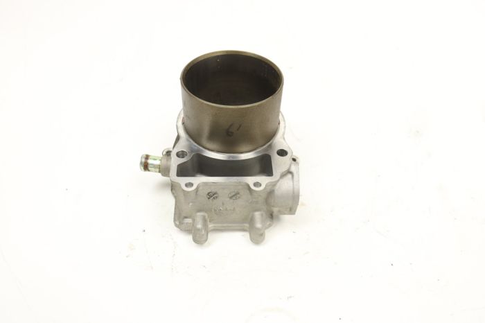 Arctic Cat Prowler 500 20 Engine Cylinder 0804-056 49545 - Power