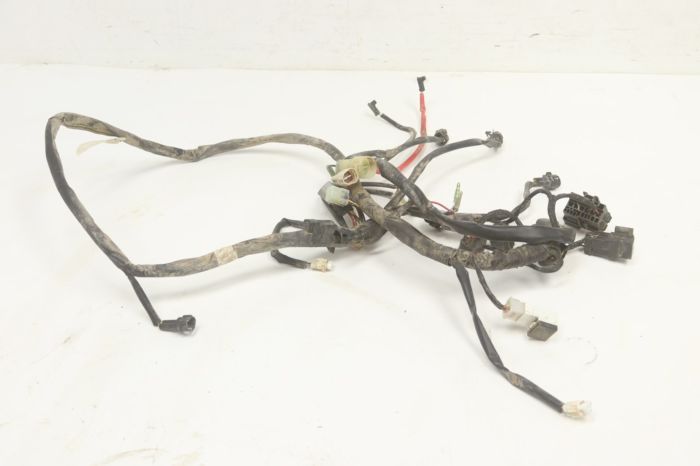 Yamaha Wolverine 350 2x4 06 Wire Harness Main 3D5-82590-00