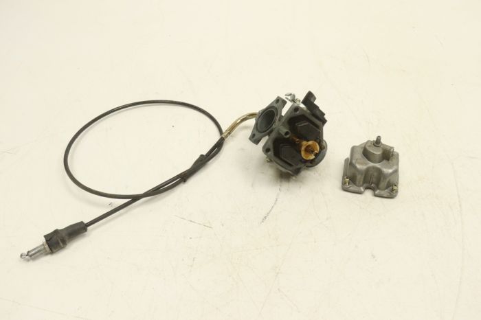 Arctic Cat A 2x4 Utility 250 07 Carburetor Carb 3303-698 51363