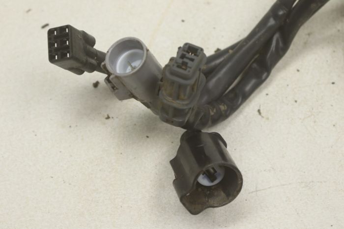 キンキン $_57.PNG?set_id=880000500F