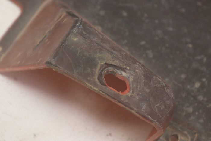 リ Nepenthes rafflesiana (Leilani x Thick Lip), CAR-0419 – Carnivero