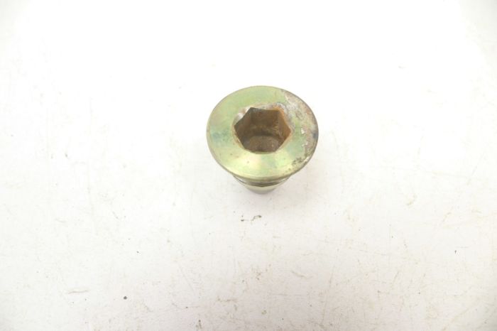 Honda Fourtrax 300 95 Swing Arm Pivot Bolt B 90122-HM5-930 52316