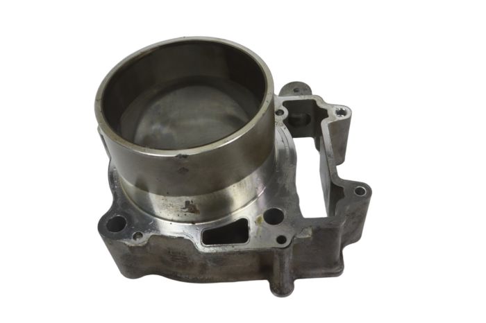 Polaris Sportsman 570 EFI 17 Engine Cylinder 3022860 54131