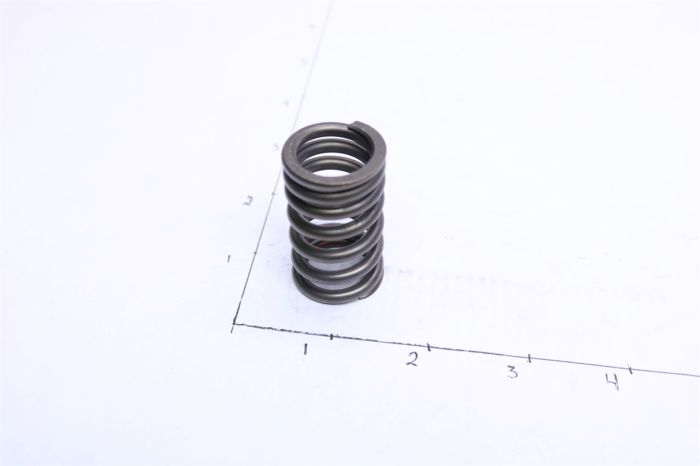 Suzuki Valve Spring Only Set 12921-21G00 - Power Sports Nation
