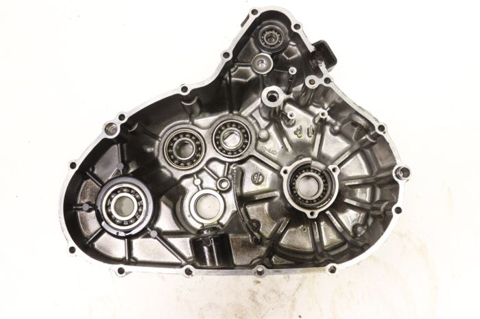 Arctic Cat 1998-2009 500 FIS Manual 4x4 Engine Stator Generator