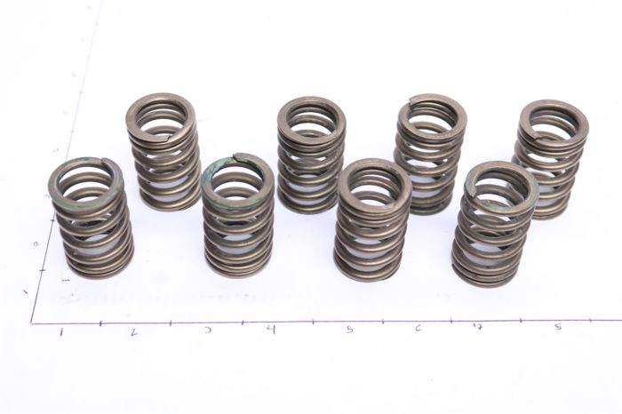 Polaris 2012-2013 RZR XP 900 Valve Spring Only Set 7043919